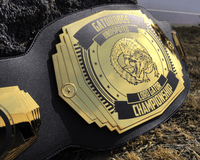 Custom double championship belts on a stand