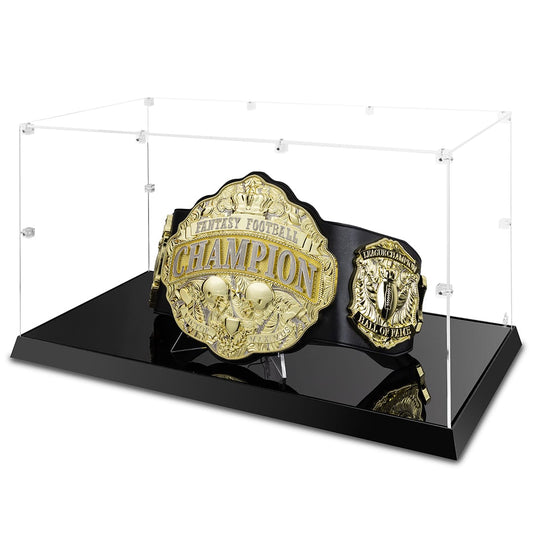 TrophySmack Championship Belt Custom LED Display Case