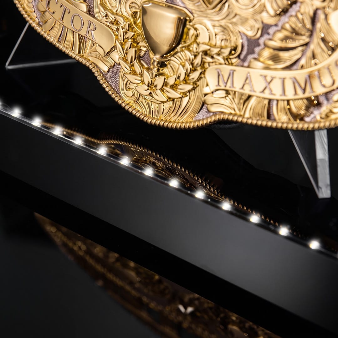 TrophySmack Championship Belt Display Case with LED Lighting