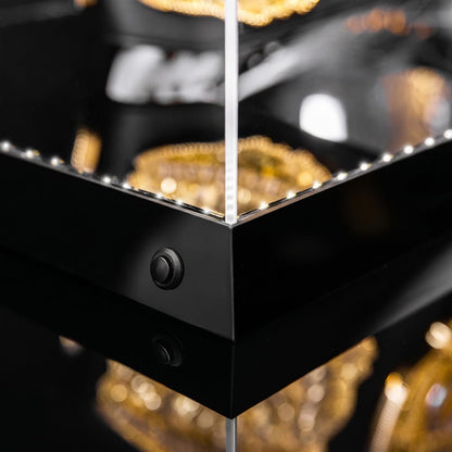 TrophySmack Championship Belt Display Case with LED Lighting