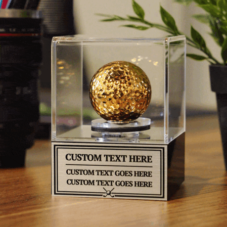 TrophySmack Golden Golf Ball Award Spinning Case