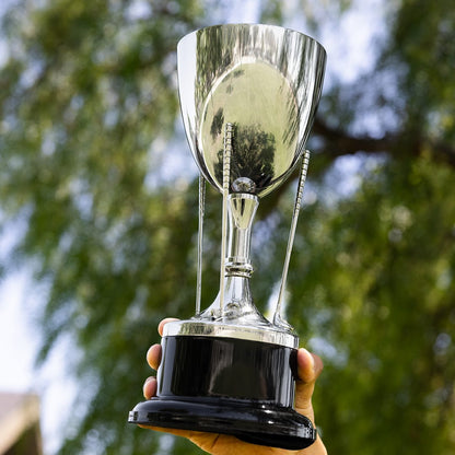 TrophySmack Golf Club Cup Trophy