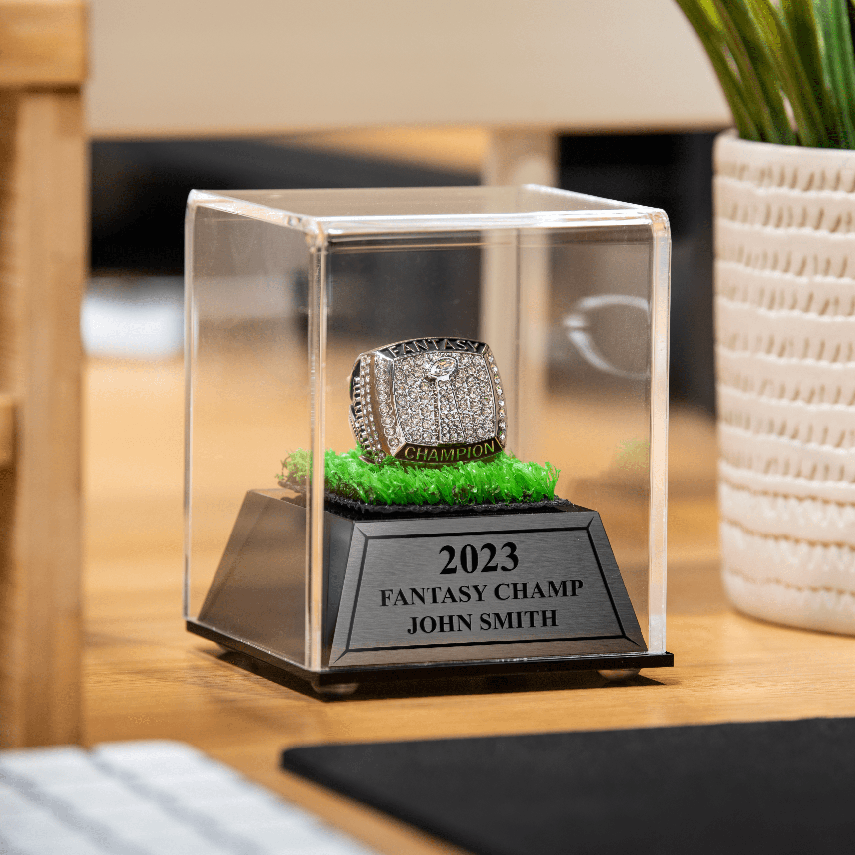 Fantasy football ring display 2025 case